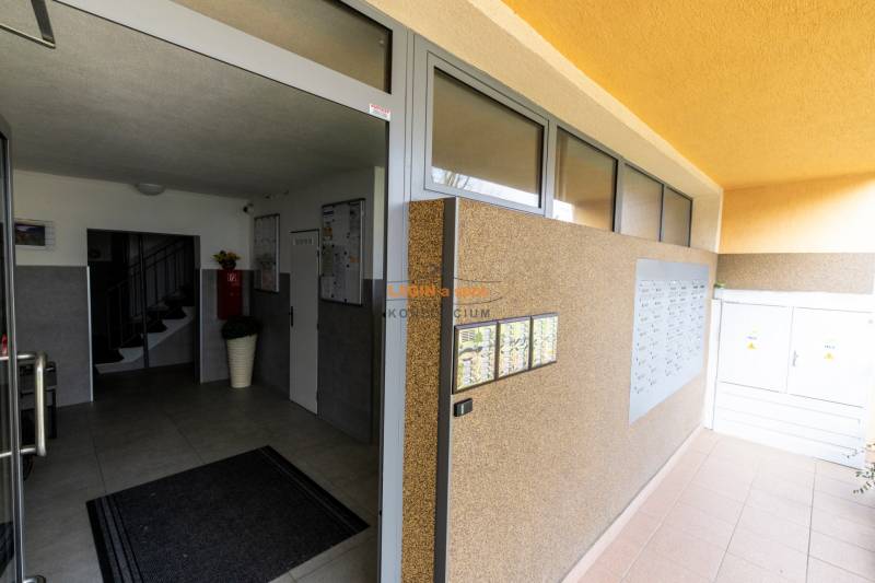 Kosmos - Polovnicka 31.jpg